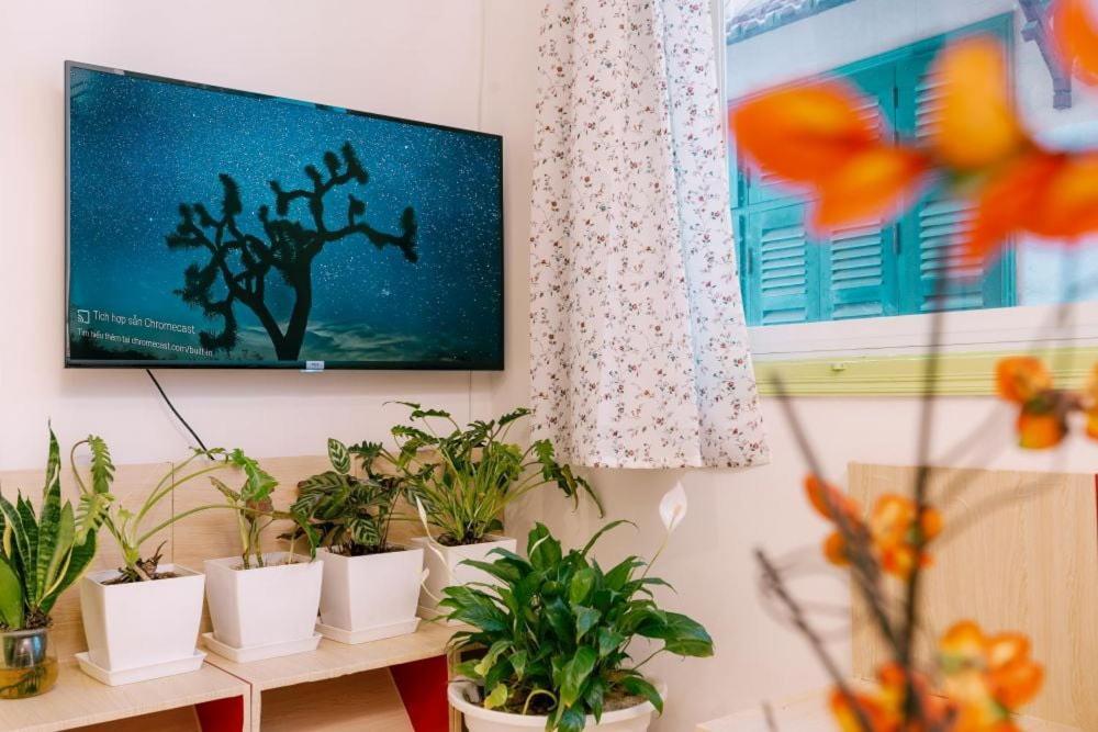 Langmandi Experience Qt Appartement