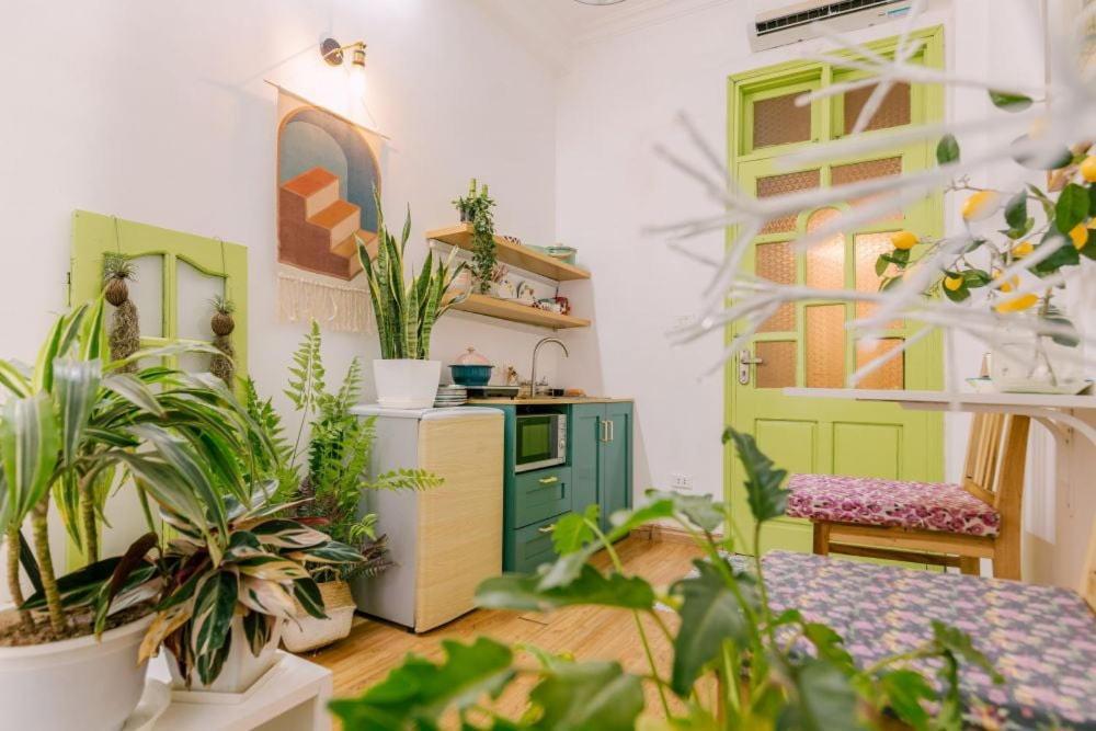 Appartement Langmandi Experience Qt